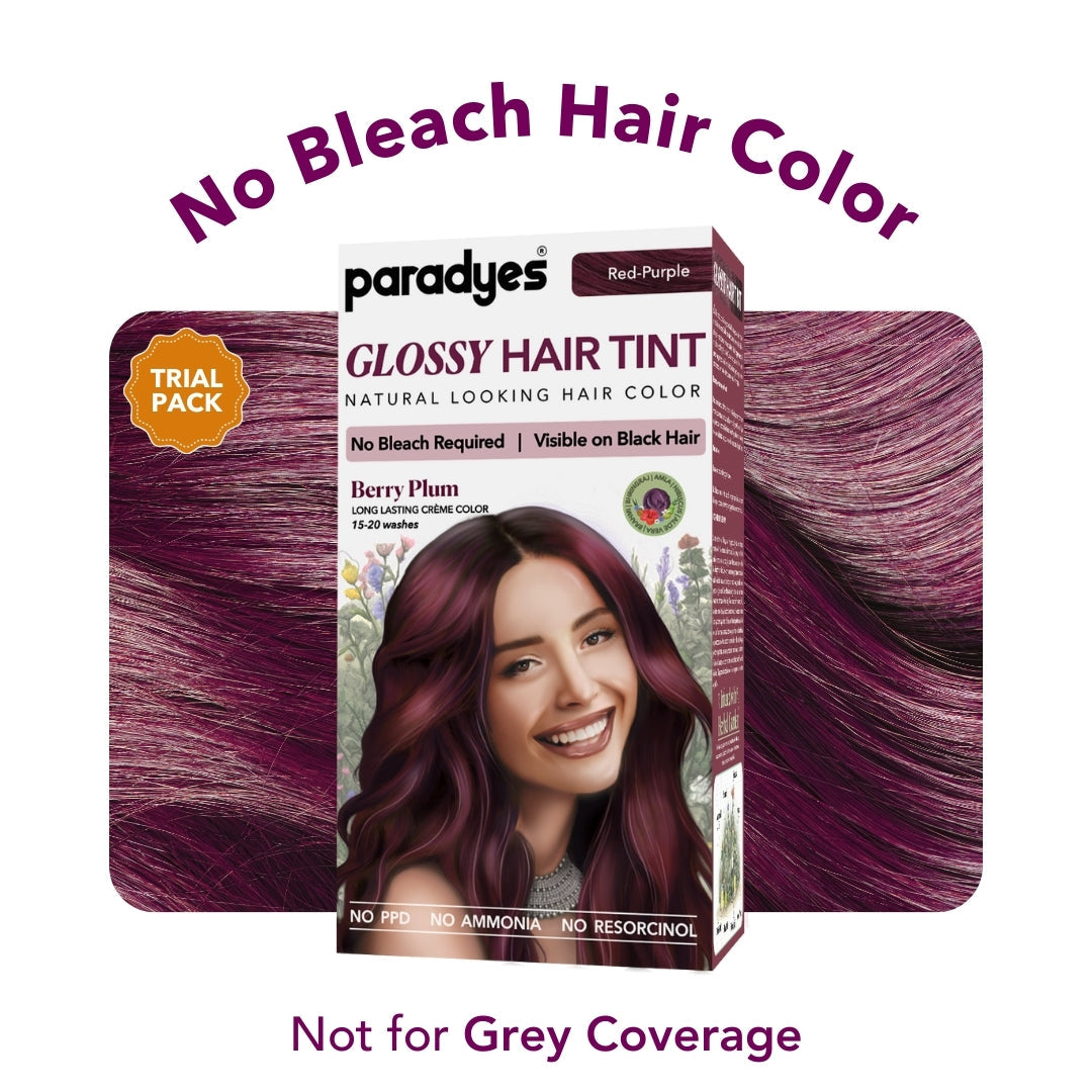 Paradyes No Bleach Glossy Hair Tint Hair Color