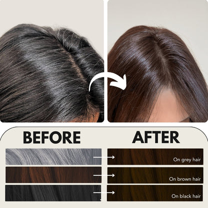 Paradyes Timeless Hair Tint Hair Color - Free of PPD, Ammonia & Resorcinol