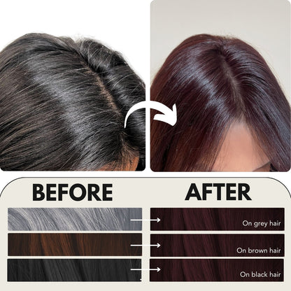 Paradyes Timeless Hair Tint Hair Color - Free of PPD, Ammonia & Resorcinol