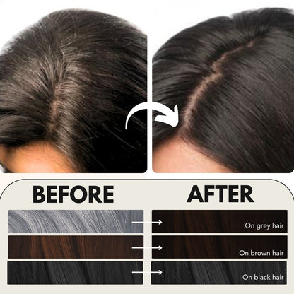 Paradyes Timeless Hair Tint Hair Color - Free of PPD, Ammonia & Resorcinol