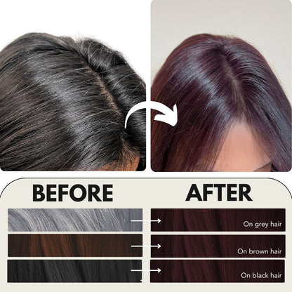 Paradyes Timeless Hair Tint Hair Color - Free of PPD, Ammonia & Resorcinol