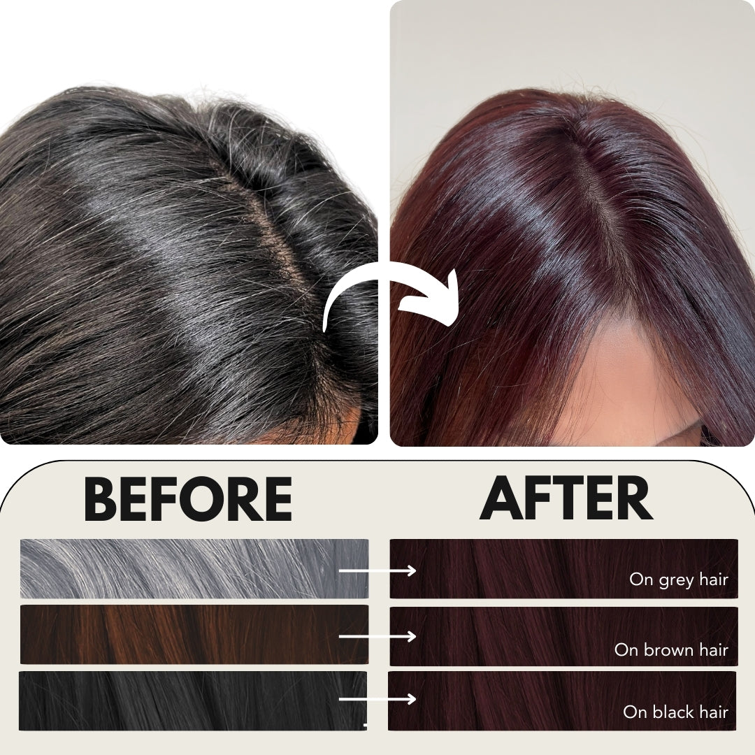 Paradyes Timeless Hair Tint Hair Color - Free of PPD, Ammonia & Resorcinol