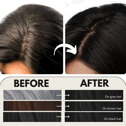 Paradyes Timeless Hair Tint Hair Color - Free of PPD, Ammonia & Resorcinol