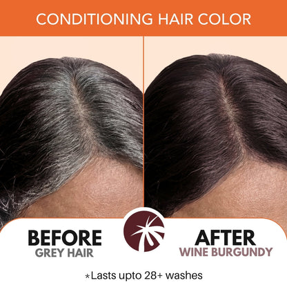 Paradyes Pure Creme Care Hair Color