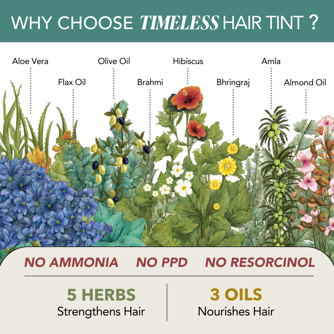 Paradyes Timeless Hair Tint Hair Color - Free of PPD, Ammonia & Resorcinol