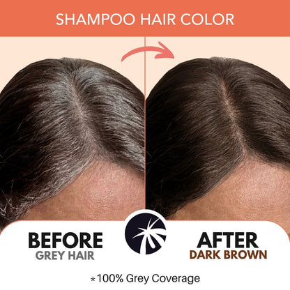 Paradyes Quick Fix Shampoo Hair Color - Free of Ammonia