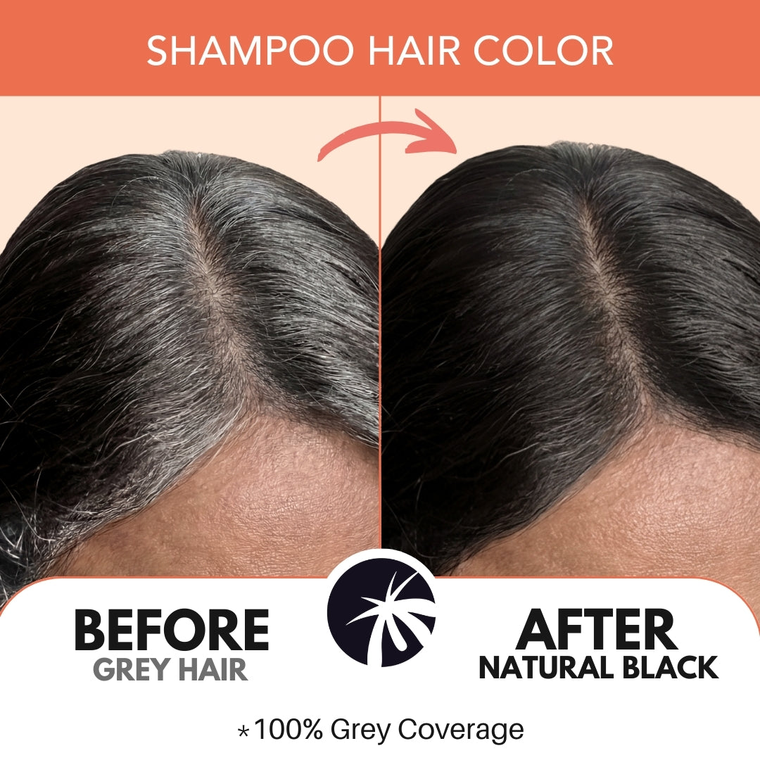 Paradyes Quick Fix Shampoo Hair Color - Free of Ammonia